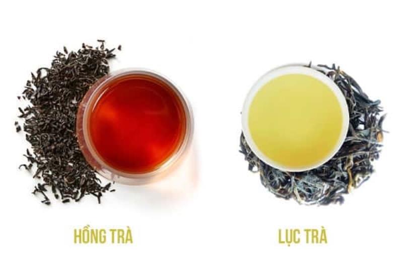 So s&aacute;nh điểm kh&aacute;c nhau giữa hồng tr&agrave; v&agrave; lục tr&agrave;